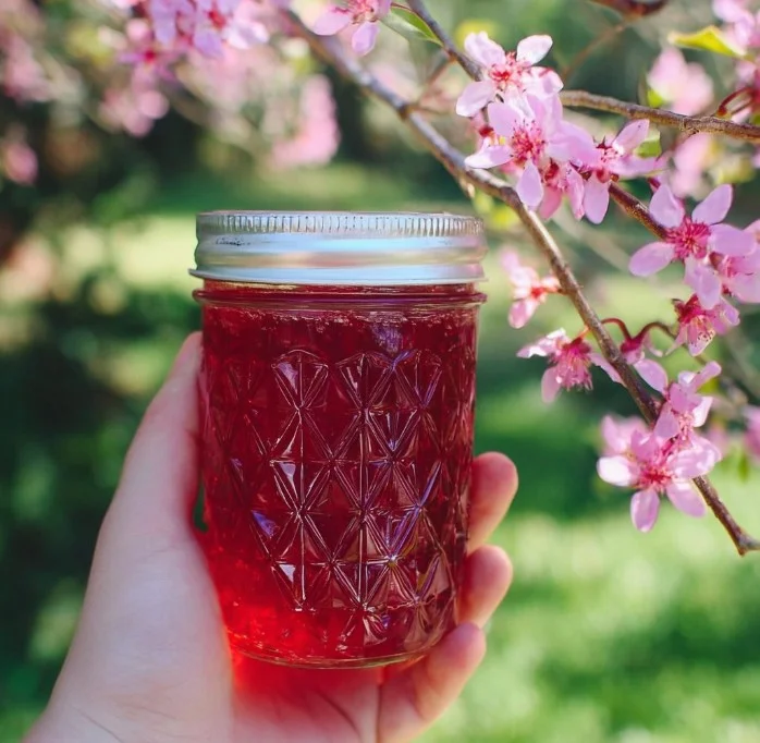 Homemade Redbud Jelly and syrup in jars with redbud flowers