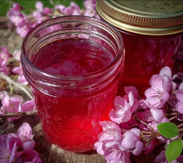 Redbud Jelly (& Syrup)